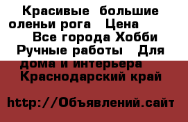 Красивые  большие оленьи рога › Цена ­ 3 000 - Все города Хобби. Ручные работы » Для дома и интерьера   . Краснодарский край